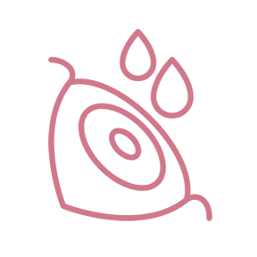 ドライアイIPL治療